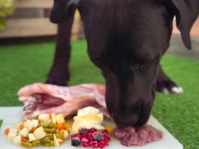 Un plato con carne, verdura troceada y fruta, servido por separado