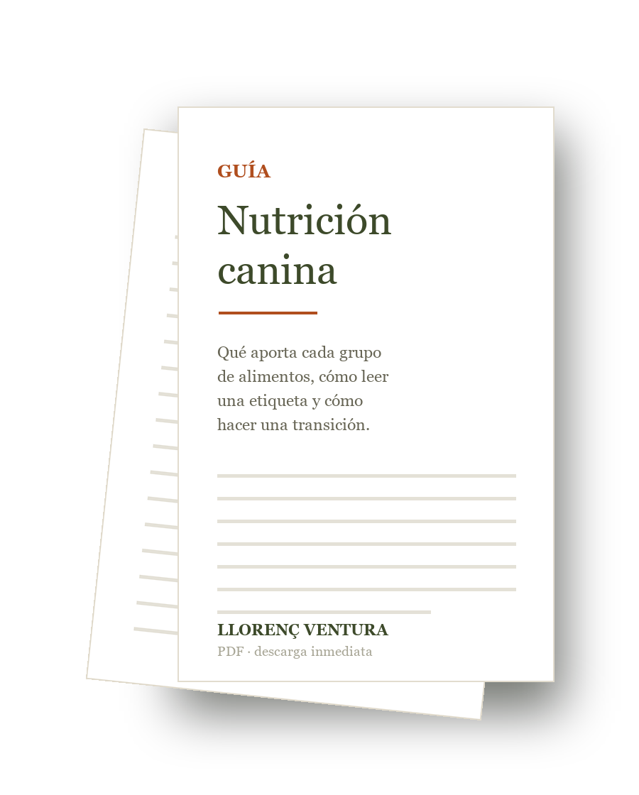 Mockup de la guía general de nutrición en PDF