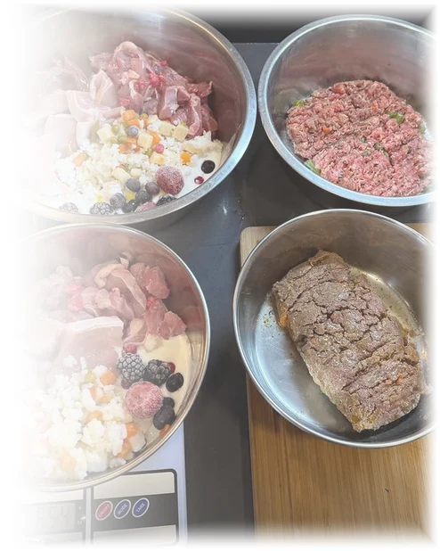 Cuatro raciones de comida natural pesadas en la báscula: carne, verdura, fruta y requeson